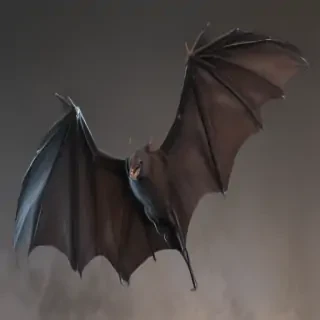 bat wings png