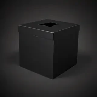 black box image