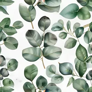 eucalyptus clipart black and white