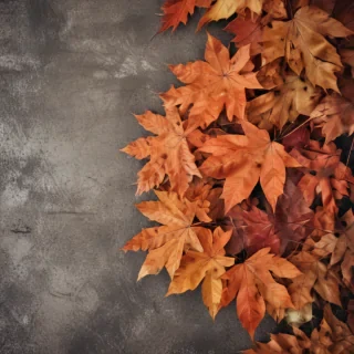 autumn background iphone