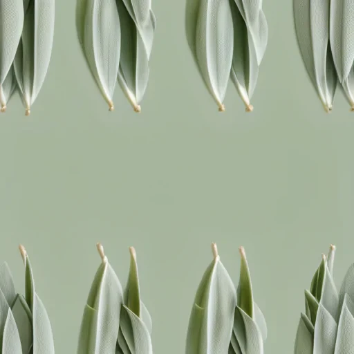 sage green background