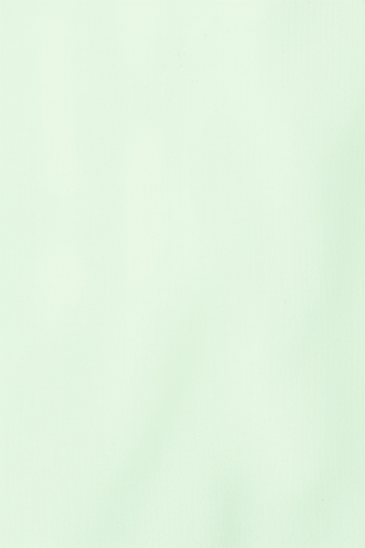 pastel green wallpaper