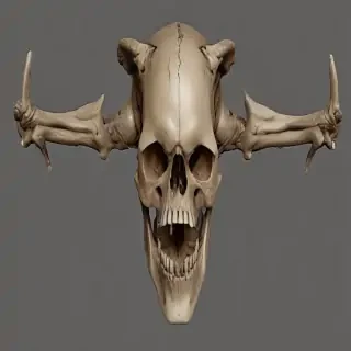 bones png