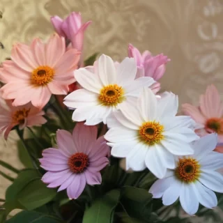 floral computer background