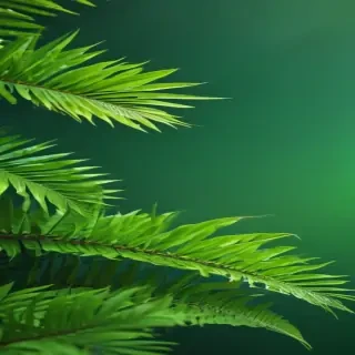 green background for iphone