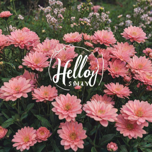 hello may images