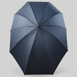 umbrella png