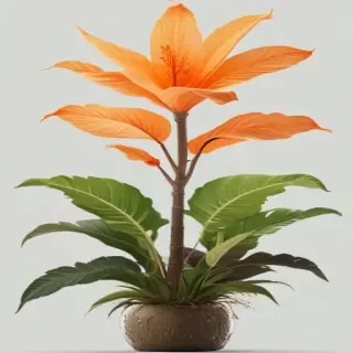plant png clipart