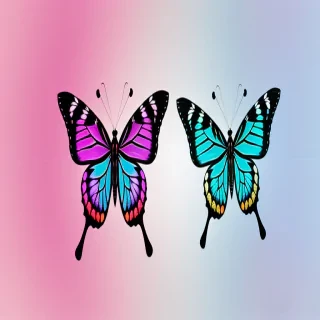 aesthetic butterfly