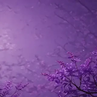 purple aesthetic wallpapers iphone