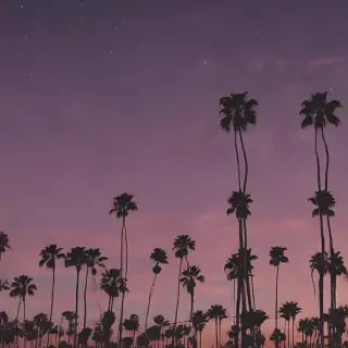 la backgrounds