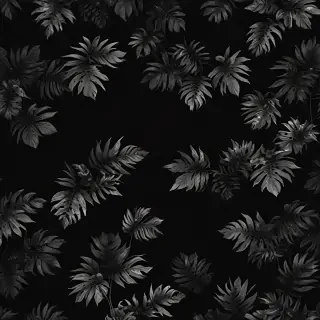black bg aesthetic