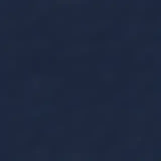 navy blue bg