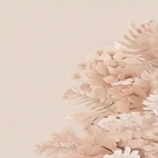neutral aesthetic desktop wallpaper