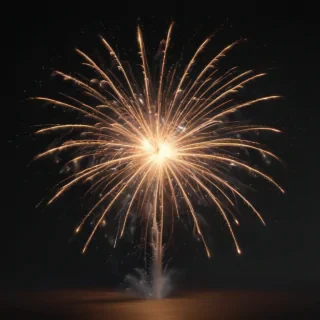 firework png