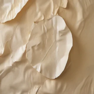 tear paper texture