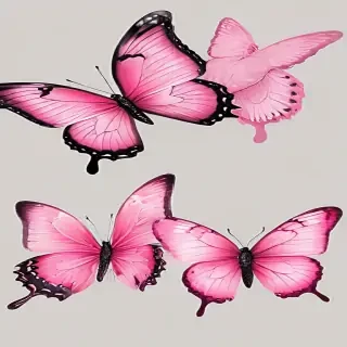 pink butterfly clipart