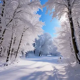 winter wonderland wallpapers