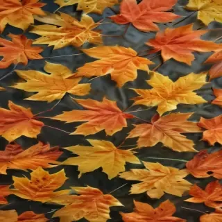 leaves transparent