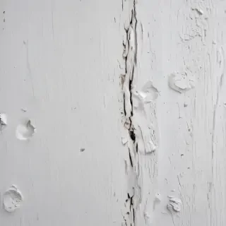 texture white wood