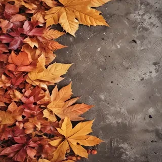 autumn background iphone