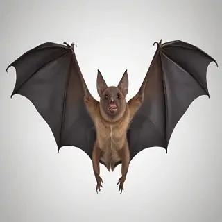 bat png