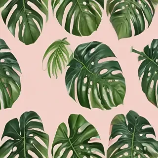 monstera png