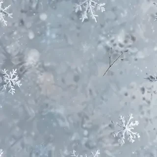 snow transparent