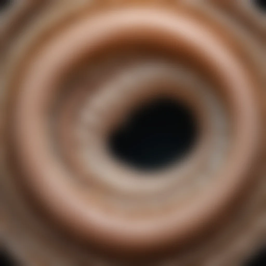 ring worm images