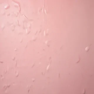 blush background