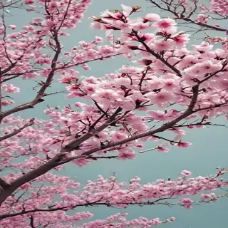 spring iphone wallpaper