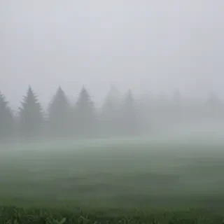 foggy background