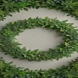 circle with leaves