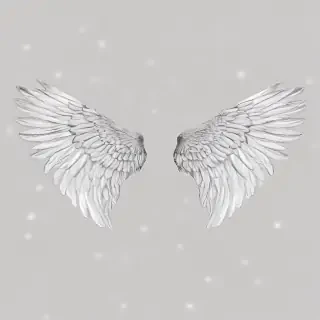 wings transparent background