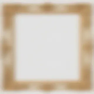 transparent border frame