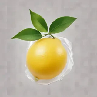 lemon transparent