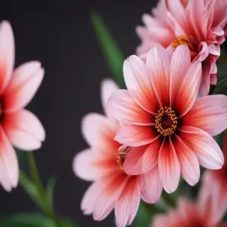 flower computer wallpaper