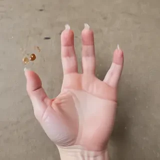 cat paw