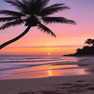 aesthetic beach pics