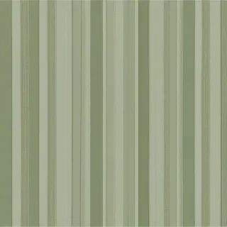sage green backgrounds