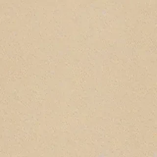 neutral computer background