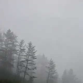 foggy background
