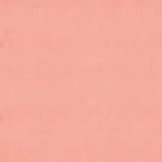 peach color background