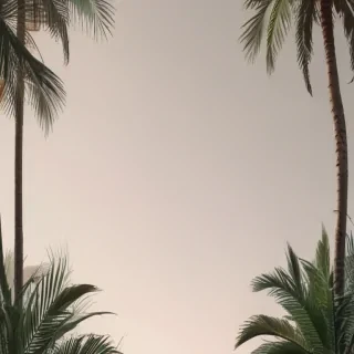 minimal aesthetic wallpaper