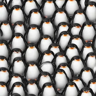 penguin backgrounds