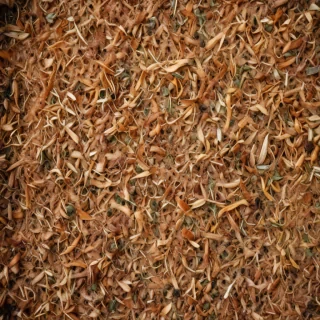 scratchy texture