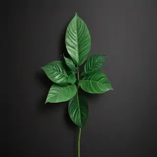 plant phone wallpaper