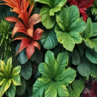 plants background iphone