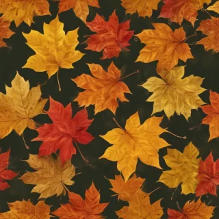 png fall leaves