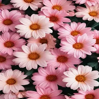 flower background aesthetic